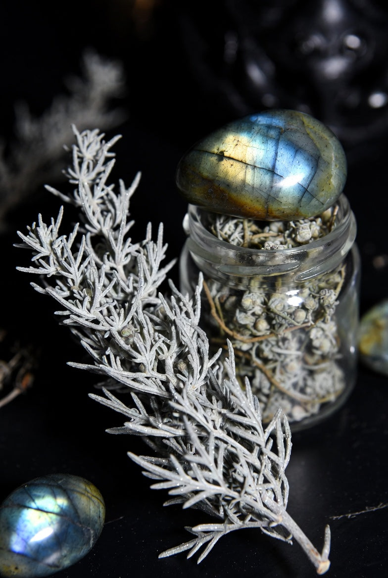 The Anatomy of a Blend: The Veil-Walker’s Secret