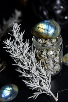 The Anatomy of a Blend: The Veil-Walker’s Secret