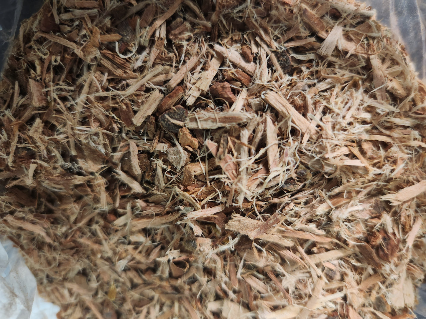 White Willow Bark (Salix alba)