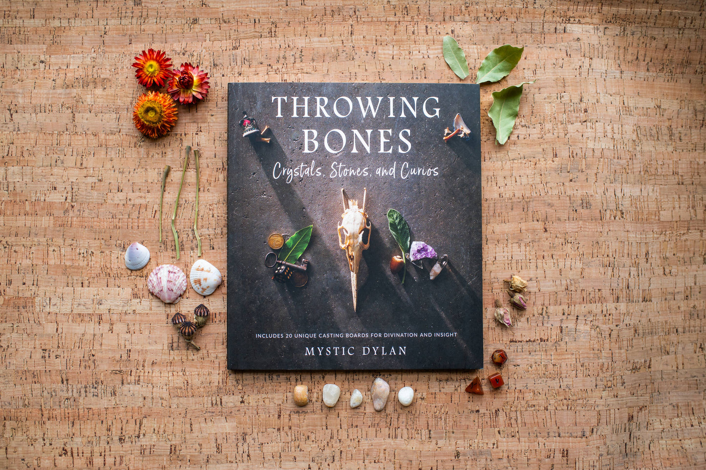 Throwing Bones, Crystals, Stones, and Curios-Mystic Dylan