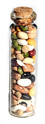 Consecrated Mojo Wishing Beans (St. Joseph Beans)