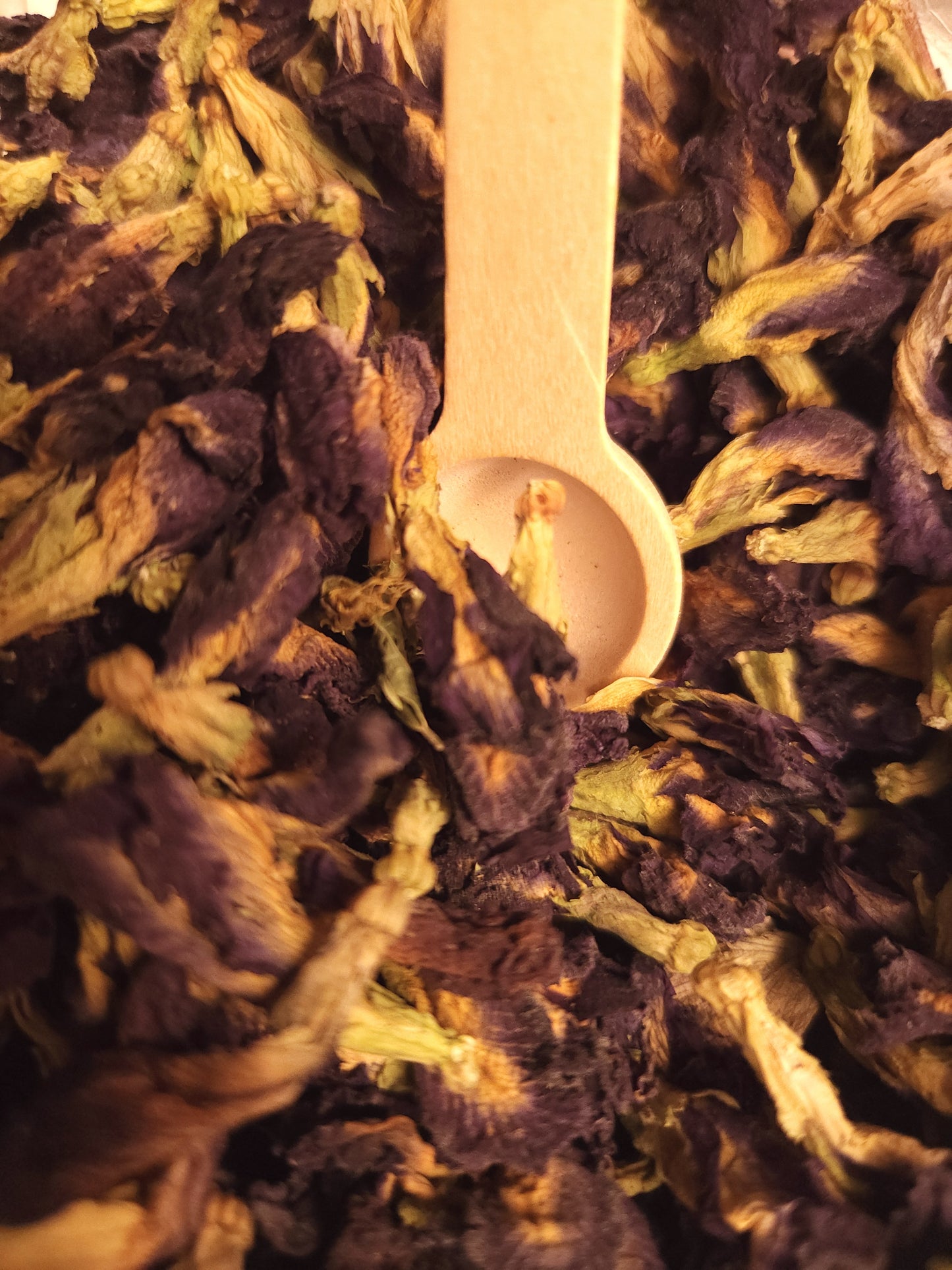 Butterfly Pea Flower (Clitoria ternatea)