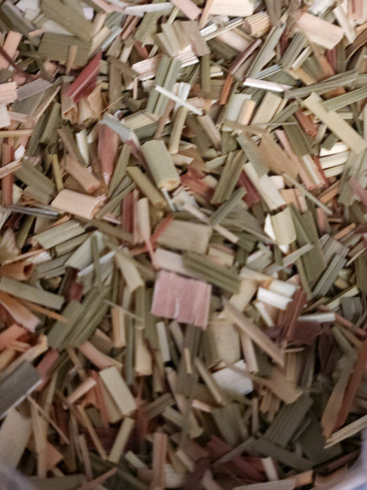 Lemongrass (Cymbopogon citratus)