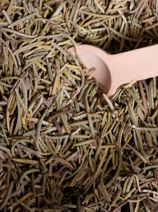 Rosemary (Rosmarinus officinalis)