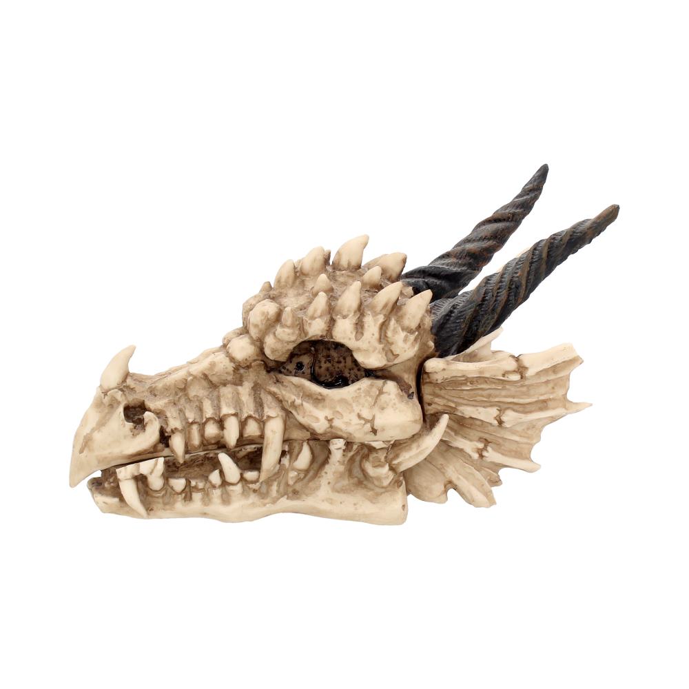 Dragon Skull Keepsake Box