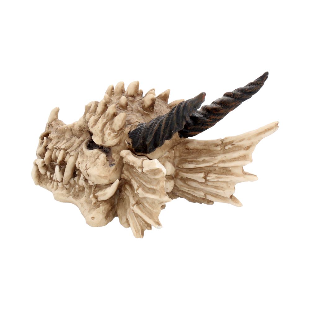 Dragon Skull Keepsake Box
