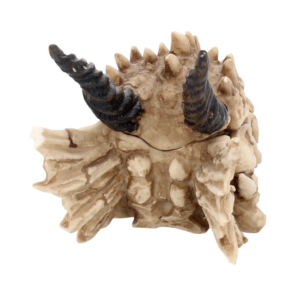 Dragon Skull Keepsake Box