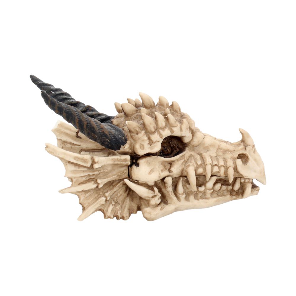 Dragon Skull Keepsake Box