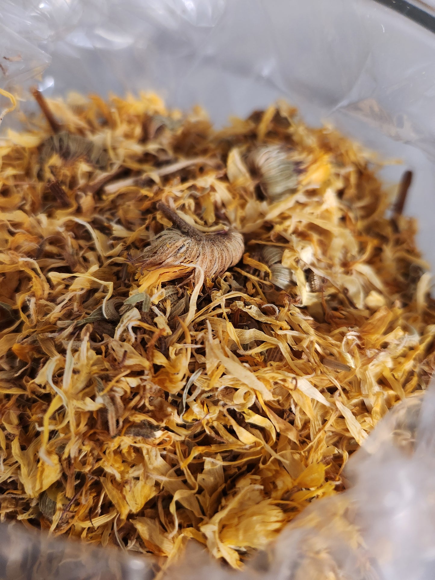 Calendula (Calendula officinalis)