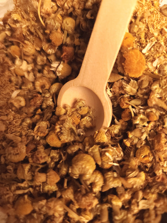 Chamomile (Matricaria chamomilla)