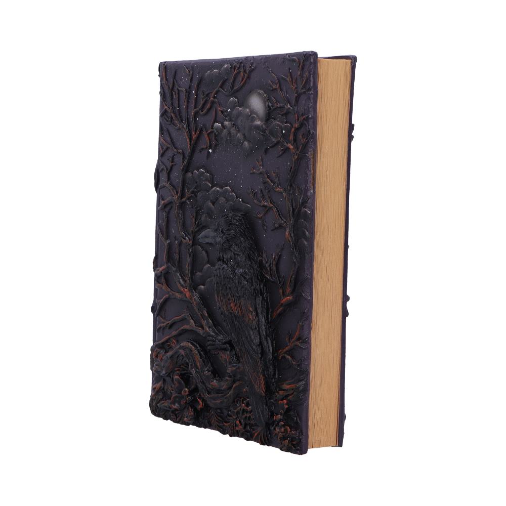 Raven's Grimoire Journal