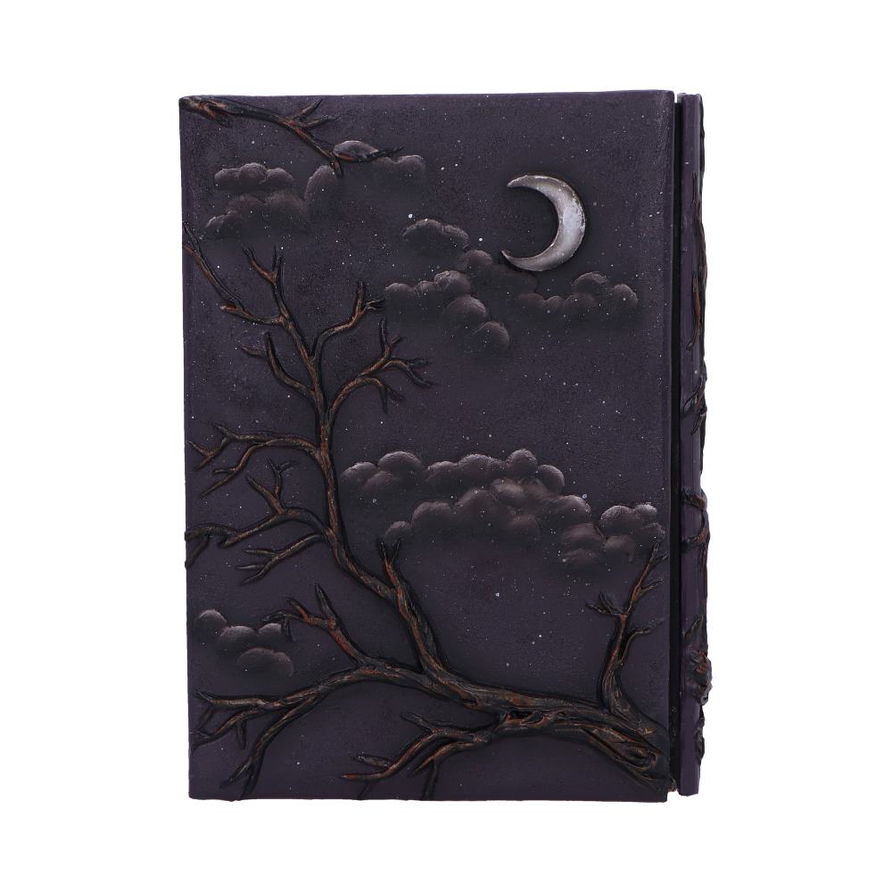 Raven's Grimoire Journal