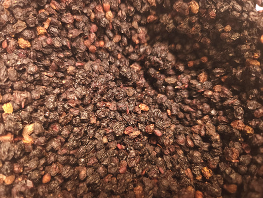 Elderberry (Sambucus nigra)