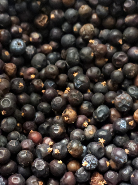 Juniper Berries (Juniperus communis)