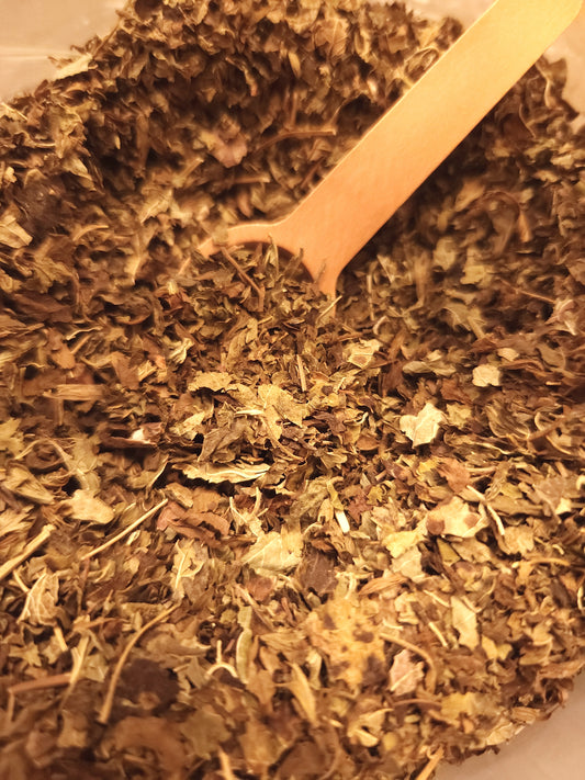 Lemon Balm (Melissa officinalis)