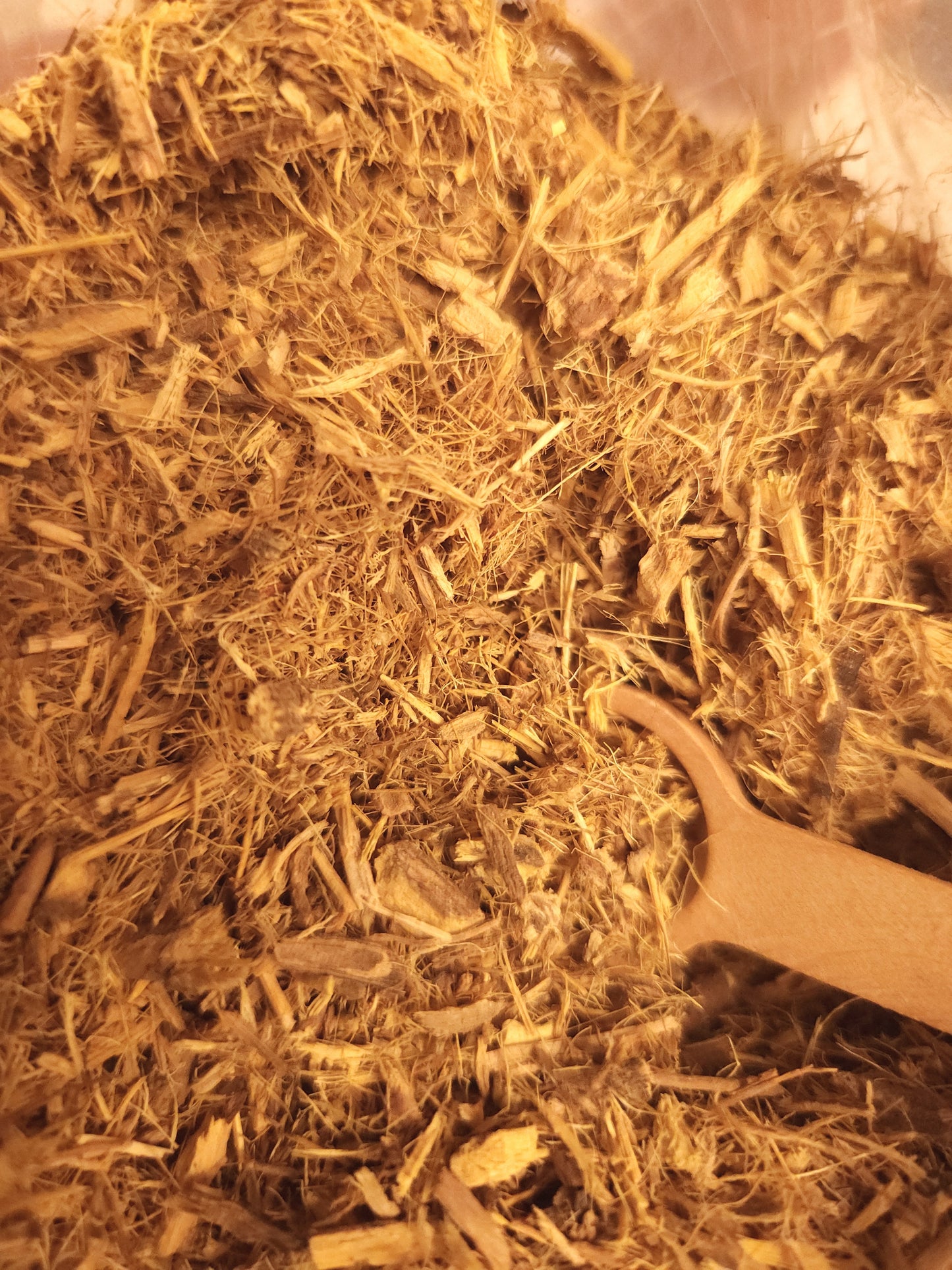 Licorice Root (Glycyrrhiza glabra)