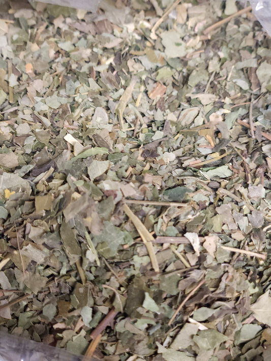 Moringa Leaf (Moringa oleifera)