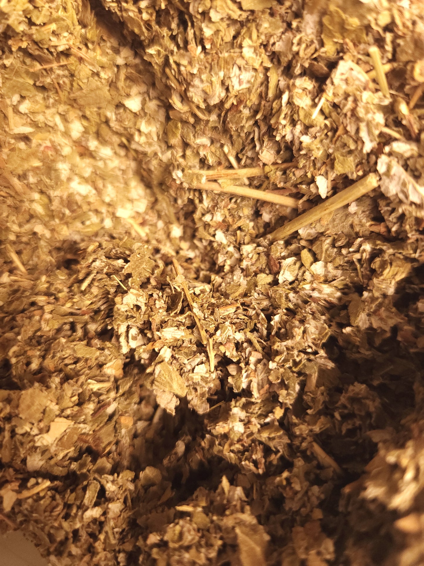 Raspberry Leaf (Rubus idaeus)