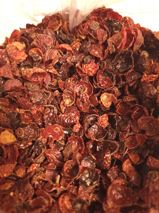 Rose Hips (Rosa canina)